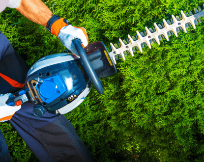 TRIMMING SERVICES